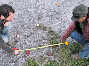 FARMERS measuring 2